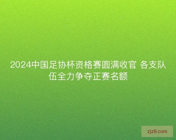 2024中国足协杯资格赛圆满收官 各支队伍全力争夺正赛名额
