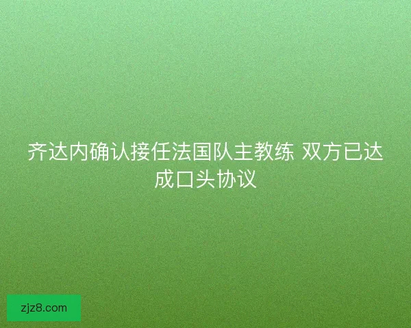 齐达内确认接任法国队主教练 双方已达成口头协议