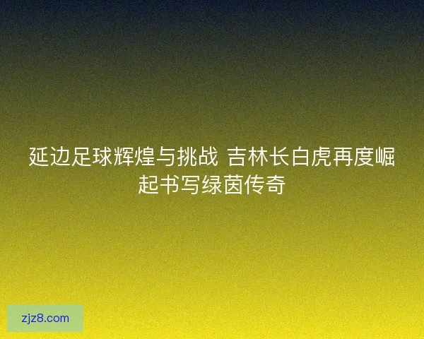 延边足球辉煌与挑战 吉林长白虎再度崛起书写绿茵传奇